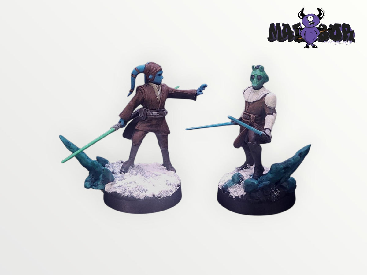 Fully painted Star Wars Legion: Customizable Jedi General and Knight by Malabor Paints