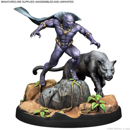 Marvel: Crisis Protocol - Black Panther, Chosen of Bast &amp; Namor, the Sub-Mariner